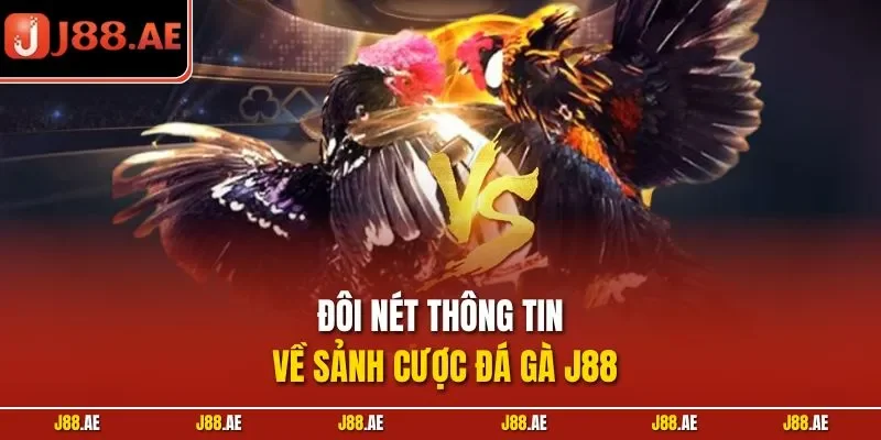 Đôi nét thông tin về sảnh cược đá gà J88